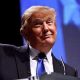Rubio Skipping CPAC, Guantanamo Plan, Zika Attacks: P.M. Links trump-b351378635afd429ae7c8d44fd655558353cc52f