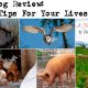 Prep Blog Review: 5 More Tips For Your Livestock articol_2-3-28b0b12ccd3c2c95d3fc314df88722b069cdc47f