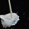 Food Industry Plots How To Ban Raw Milk drip-175551_640-1cd212ceef0c34b00fea8f312b8505961c75c0cf