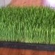 The Super-Nutritious Grass You Can Grow Indoors, Eat, And Transplant To Your Yard wheatgrass-youtube-d191633619da8e0497a695d0c096d92fadbea1cb