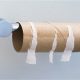 7 Alternatives to Toilet Paper roll_2586757b-500x312-37d8419ee511309d802995cebbe039274afee5a2