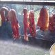 Meat Preservation 101: Grinding, Curing, And Smoking meat-preservation-6ec66fe7c6e5d72b065f46de7a4c64884c33538f