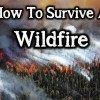 How To Survive A Wildfire BIG-Wildfire-ee03a3838a6286b166ca7ace0755243adb1891a2