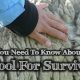 What You Need To Know About Using Wool For Survival big-wool-b8b33a1bd894c021830873d298db4e80b6cf90b1