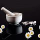 Grow Your Own Off-Grid, Heal-Anything Herbal Medicine Chest homeopathy-1063292_640-c1ccb740f6734e7deb37c8db0151747d1f9f52f7
