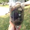 Make a Life-saving Water Filter when You’re in a Pinch charcoal-water-filter-18b8b2d5c90e5234ee89fc187e078166ad4f15fe