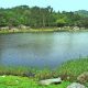 BREAKING: Farmer Beats EPA, Will Be Allowed To Keep Pond; Avoids Millions In Fines pond-publicdomainpicturesDOT.net_-ca32e71006e5390450ed83d5e0546bfa8d00711e