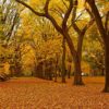 The Big Apple’s Got Nothing On These New York Campgrounds new-york-camping-17fc7dc2494728ca0f6483ae015429dc072bcb92