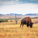 These Oklahoma Campgrounds Are More Than Just OK oklahoma-camping-5ca696a7175a79078cfcb5c89f99f61f4f41f4bc