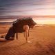 Heat Exhaustion: Signs, Symptoms and Prevention shutterstock_199366625-daf3f904e07c67caaf1284936525957067f9fc87