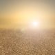 Heat Stroke: Signs, Symptoms and Prevention shutterstock_330312401-71a527ec31d9f3c8f081e232f0503d2044269fb2
