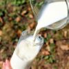 Rigged: Dairy Industry Killed 500,000 Of Its Own Cows To Keep Milk Prices High glass-1587258_640-1-d95dd873b23ad295bb6f61ab059a50393ab989af