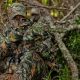 5 Ways To Maximize Camouflage Concealment camouflage-concealment-ft-image-d18f38061c4ad189cf12b295abe49020093d5aac