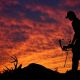 Maine Hunting Laws Maine-Hunting-Laws-Featur-05863b64af89ba5572c9b02fce64d549781486cc