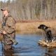 Fido On The Hunt – A Complete Guide To Dog Hunting Gear dog-hunting-gear-feature-44278e09fb6f21f712feda2fe4ed0def4f7734fe