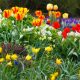 Preparing Your Spring Garden Now | It’s Never Too Early! garden-feat-750x420-d5ba26bd3e25a6caaf70d37fffbcf62eeb4a3b9e