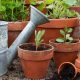 12 Budget Friendly Must-Haves For Every Beginner Gardener gardening-for-beginners-f-5dbe8b5292487db033ec47ac68ba99f009231dc8