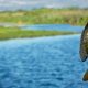 Hook, Line and Sinker! Springtime Fishing Tips You Need To Know fishing-FEAT-750x420-bc4e42de7f85bba7eb08608e8065fb569af9c59e