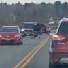 A Moose Was On The Loose In An Unlikely Area … moose-maine-facebook-3c12b13e558acdc1242d8b4c9b67a4f638de3f12