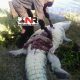 Horror In Zimbabwe…Local Officials Cut Open Suspected Man-Eating Crocodile And What They Found Inside The Beast Made Their Blood Run Cold cr1-89ba7024bbf01d58b17b97819ed84c443806f8b1
