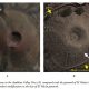 Mysterious Volcano-Shaped Pyramid in Peru Baffles Experts 1.bp_.blogspot.comVolcano-74ce7bb40dc38bec9f9b87be2b71b41e7ad2355d
