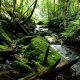 7 Simple Survival Techniques That Could Save Your Life wilderness-feat-750x420-fcd41261c6b0d59bb413cedd8266ad36689e32c6