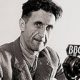 That Mass Extinction Study is a Collectivist Hoax lh5.googleusercontent.com-58f62599c49ddf183aa40ee4f4791e66938b3f85