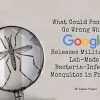 What Could Possibly Go Wrong When Google Releases Millions of “Lab-Made” Mosquitos in Fresno? (VIDEO) s3-us-west-2.amazonaws.co-7396844634d45e20f5fee53f605fd7a7af61ff68