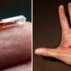 Wisconsin Company Announces they will Implant Microchips in Employees (VIDEO) s3-us-west-2.amazonaws.co-d220edb41e2291e774391d74b6a90aeeed6ee470