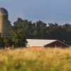 How To Identify & Stop The 8 Top Predators That Prowl Your Homestead farm-house-animal-predato-ce3b640540e0925758050824d17b2f14ddaa2517