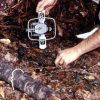 4 Tips To Become A Better Trapper| Learning Trapping Basics setting-up-a-steel-trap-f-1fad4a4653311b16abe9381fb4cae867ad012fe2