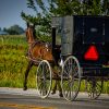 Amish Farmer Sold Herbal Salves. The Feds Sent Him To Prison For 6 Years amish-pixabay-cc4c9336a3a439902f0743bdd31a7cac14ffaf26