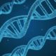 Scientists begin editing embryos’ genes to study early human development… dna-1811955_1280-150x150-340926c312839e8274a32eeedd3968f4eda091dc