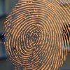 PROPHECY WATCH: Supermarket offers ‘finger vein’ payment in worldwide first… fingerprint-1174309_1280--9f0ab8b431ccfdd6cf1f9ed921a6de41b002022b