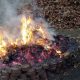 How To Build A Fire Pit At The Beach fire-pit-how-to-build-a-f-065a55a253fe949c970ba84732ecf1093b8192d2
