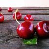 5 ‘Ancient Remedies’ For Gout Pain cherries-422468_640-2bd7315bbb68d0bd22256d4dc5df1074e8f1662a