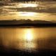 Powerful 8.2 Earthquake Strikes off Alaska, Tsunami Warning Issued alaska-63728__480-150x150-3d49ef0c7850d6c9bdd2f160732808b0f9bb9ba3