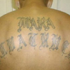 The Prejudicial Cynicism of Trump’s SOTU Talk About MS-13 d1jn4vzj53eli5.cloudfront-e03dde5277d695be80feeea8b8752212284a9aa7