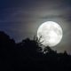 Some speculate that Supermoons may spark ‘Biblical year’ with the return of Christ full-moon-1775765__480-15-41435b50cc5fb589db155375cf9ad87c20cc6eec