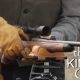 The Kimber Caprivi 375 H&H Magnum: A Single Shot Will Take Down A Hippo the-kimber-caprivi-375-hh-3330da72e770730cc30f78b5bfd302465edbb7b7