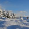 11 Ways To Stay Sane When It’s 20 Below snow-1209991_640-bd28d696245df22d28418295f7c7772f02f5ea34