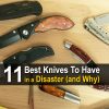 11 Best Knives to Have in a Disaster (and Why) 11-best-knives-to-have-in-f638d2053176476fddf411b34374d12f553cfe5d