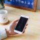 Cell phone Radiation Causes Tumors To Grow In Rats… photo-1501162946741-4960f-24fafd4813a9f3696d39ad18ef5e5fd527367ad7