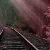 In the Random Universe: Let Justice Be Done though the Heavens Fall light-fall-e1527078144297-63d7eaa40e2258c5648a666b34d98036be282925