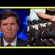 Tucker Carlson CONFIRMS the Origin of Health Crisis picture.jpg